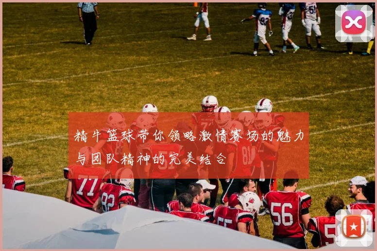 精牛篮球带你领略激情赛场的魅力与团队精神的完美结合