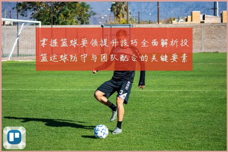 掌握篮球要领提升技巧全面解析投篮运球防守与团队配合的关键要素