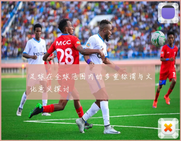 足球在全球范围内的多重称谓与文化意义探讨