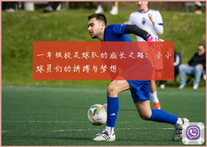 一年级校足球队的成长之路：小小球员们的拼搏与梦想